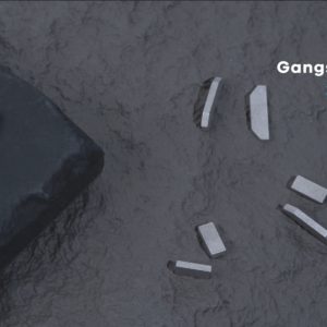 سگمنت اره لام (Gangsaw Segments)